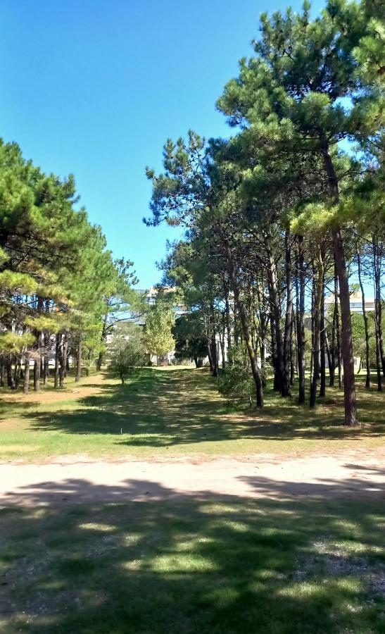Natureza Apartment Pinamar